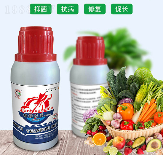 ֲ������-���r����