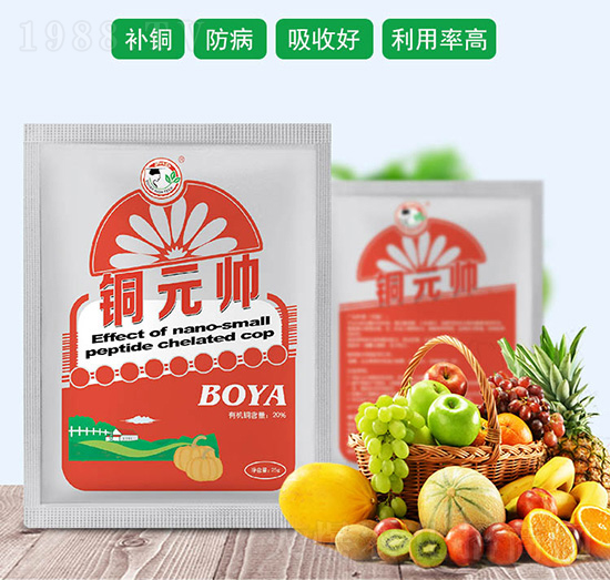 銅元帥-中農國化