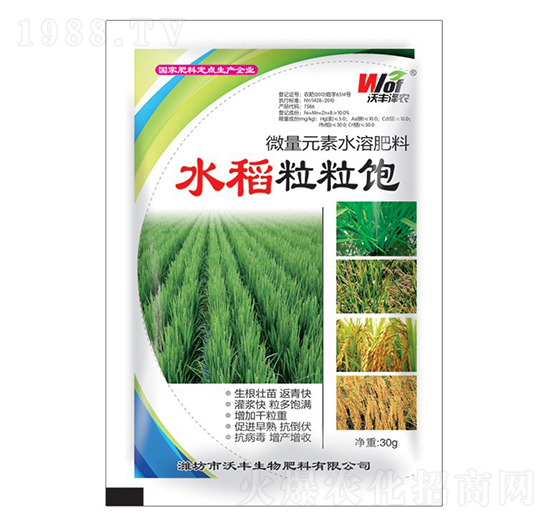 水稻粒粒飽-沃豐澤農-沃豐生物