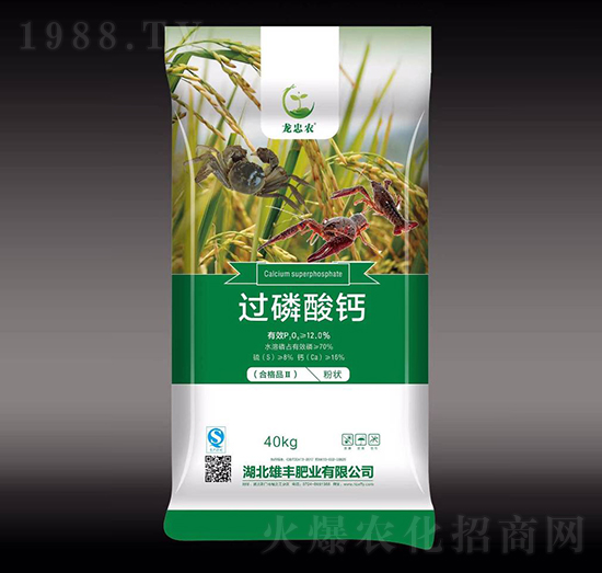 �^�����}-���S�ʘI(y��)