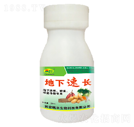 地下速長(zhǎng)-晟邦生物