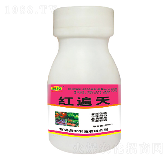 紅遍天-晟邦生物