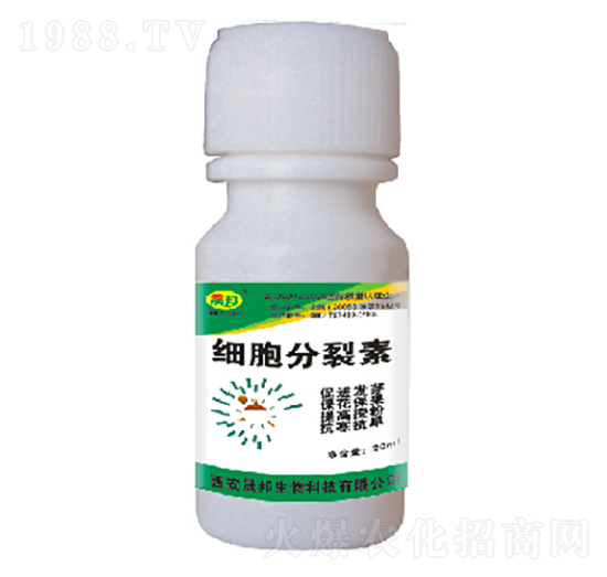 細(xì)胞分裂素-晟邦生物