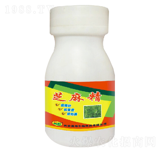 芝麻精-晟邦生物