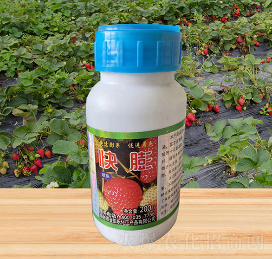 快膨-金伯樂(lè)