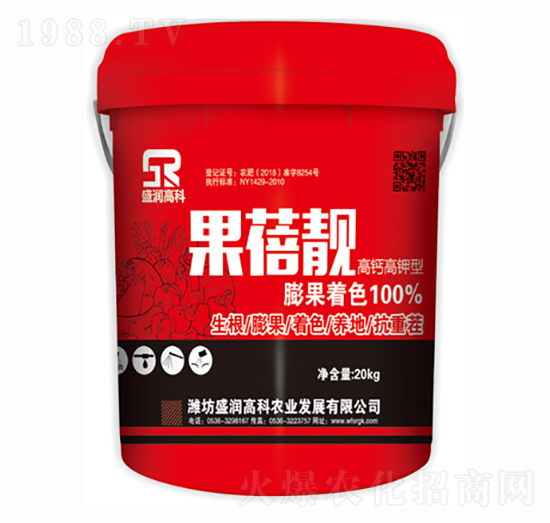 �����n-ʢ���߿�