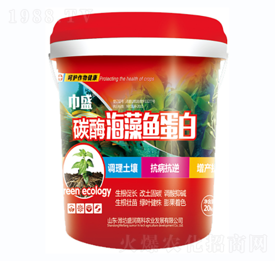 ̼ø�����~����-��ʢ-ʢ���߿�