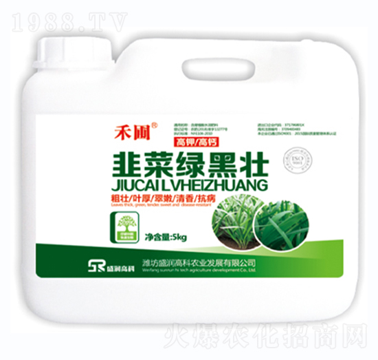 �²˾G�ډ�-����-ʢ��(r��n)�߿�