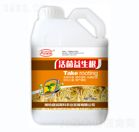 ���������-ʢ��(r��n)�߿�