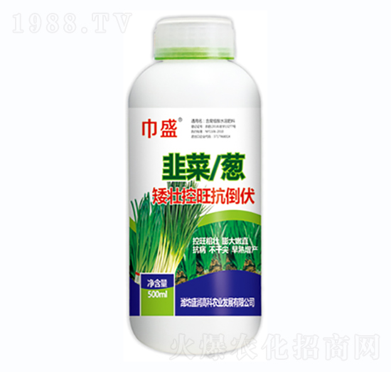 �²����[���ѿ���������-��ʢ-ʢ���߿�