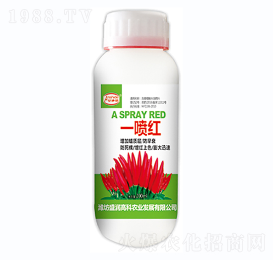 ����һ���t-ʢ��(r��n)�߿�