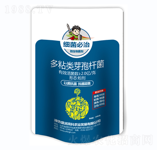多粘類芽孢桿菌-細(xì)菌必治（袋）-盛潤高科