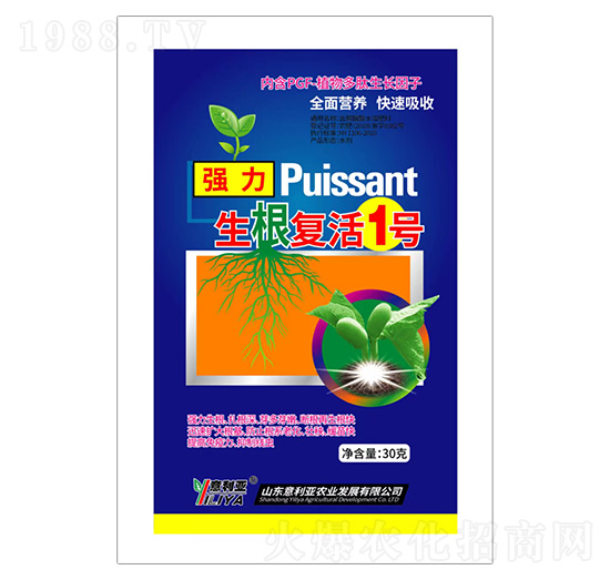 生根復(fù)活1號-意利亞