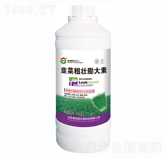 �²˴։������-ʩ�۸�