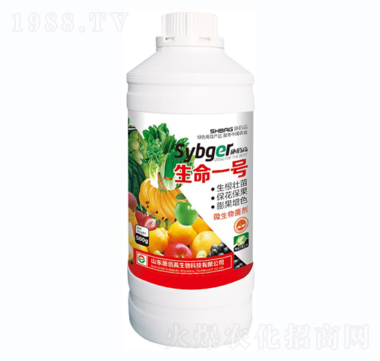 ΢�������-����һ̖-ʩ�۸�