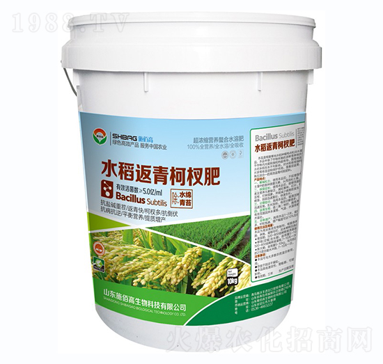 ˮ�������辷�-ʩ�۸�