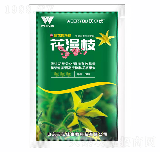 �߻��ڷ۾�-����֦������-�֠���(y��u)