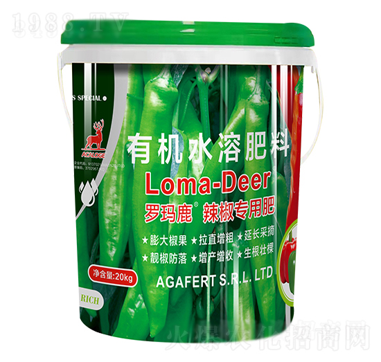 �_��¹�������÷�-���L