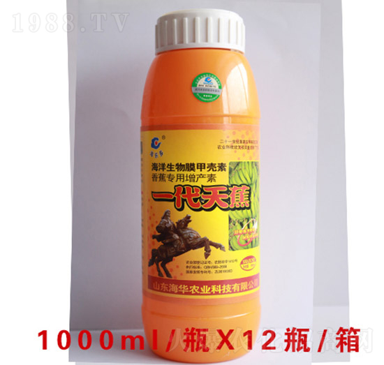 一代天蕉-海華農(nóng)業(yè)