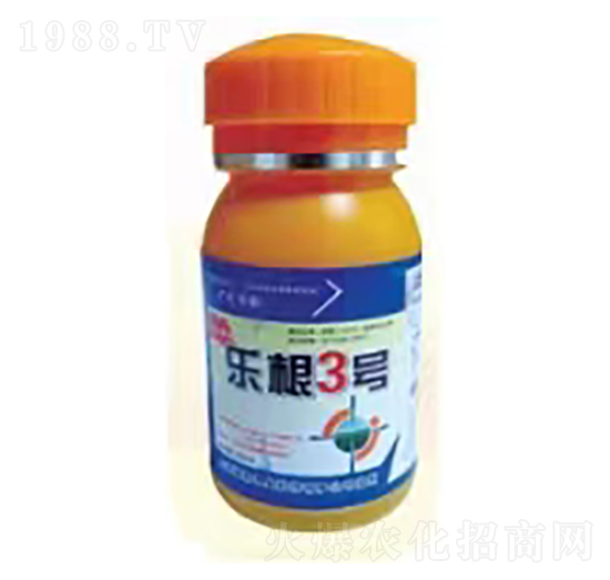 樂根3號(hào)-穎柔