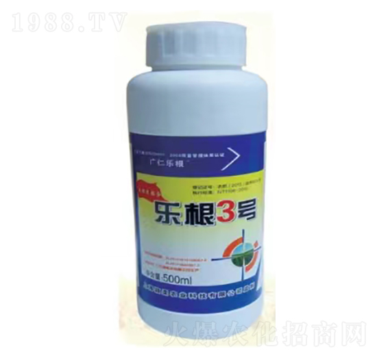 大樂根3號-穎柔