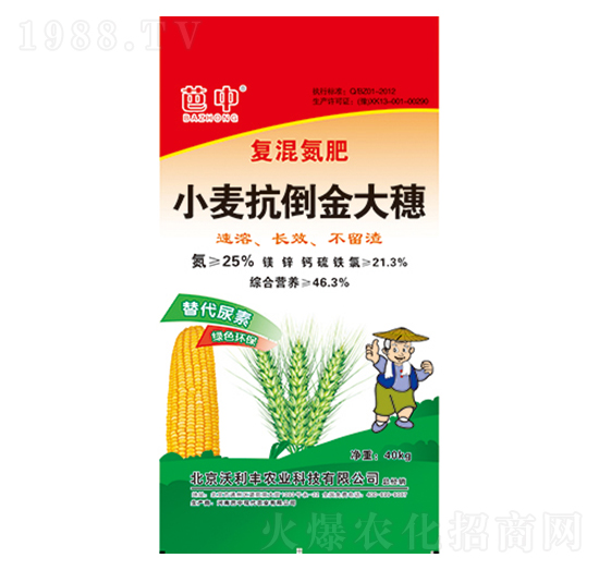 小麥抗倒金大穗-芭中農(nóng)業(yè)