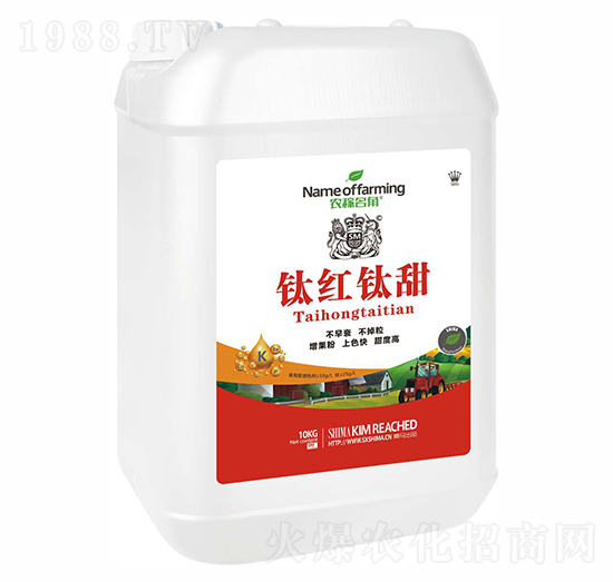 ⁼t���-�r������-�{�R�ʘI(y��)