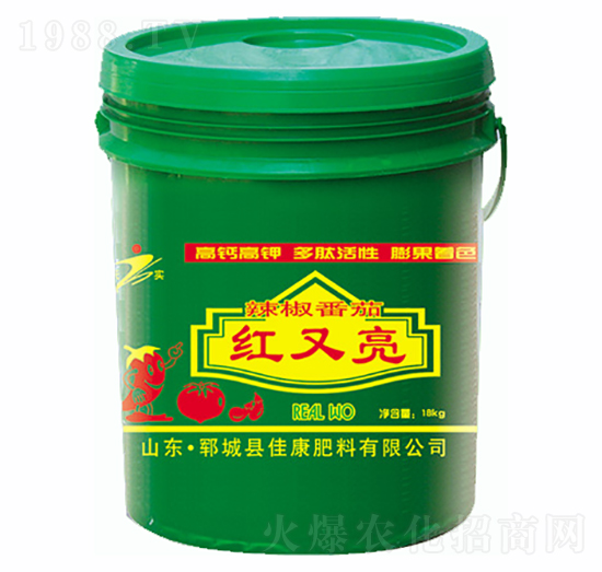 �������Ѽt����-�ѿ�