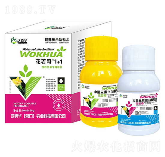 �ڷ�������(zhu��n)�ýM��-������1+1-�ֿ��A