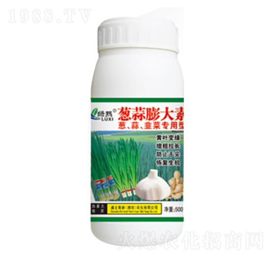 �[�������-�G��-��ʿ�R��