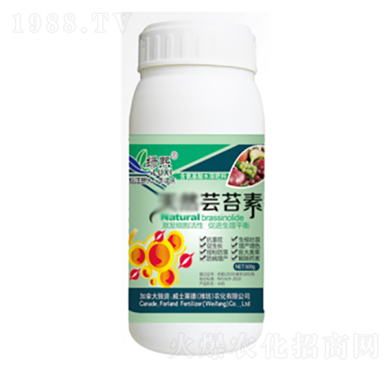 蕓苔素-綠熙-威士萊德