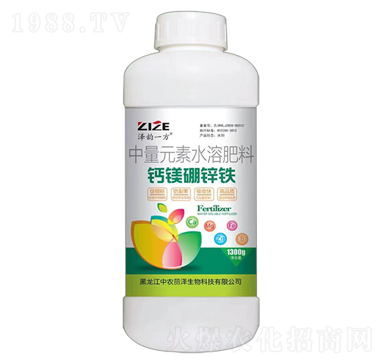 �}�V���\�F-���һ��-���r(n��ng)���