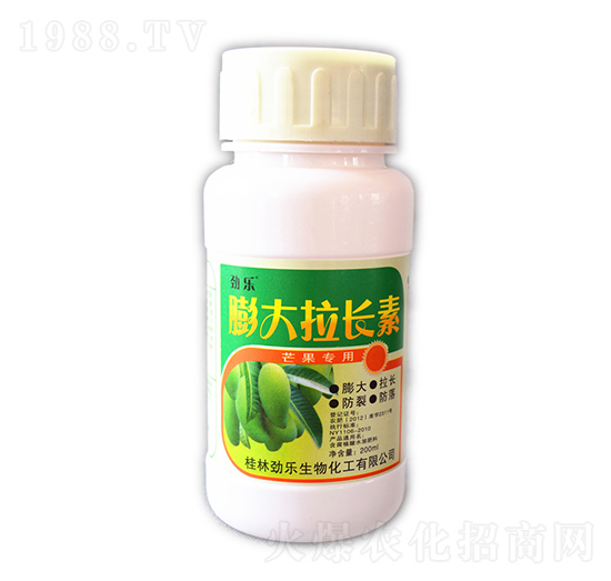 200ml�Ř�������L��-���_����