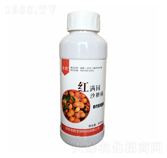 沙糖橘紅滿園-桂開生物