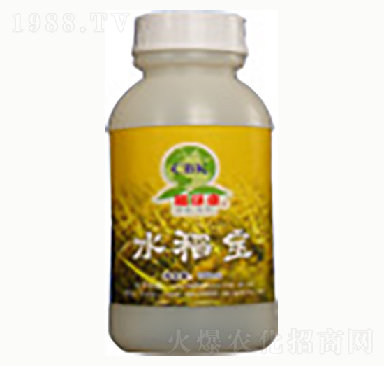 水稻寶-賜?？? style=