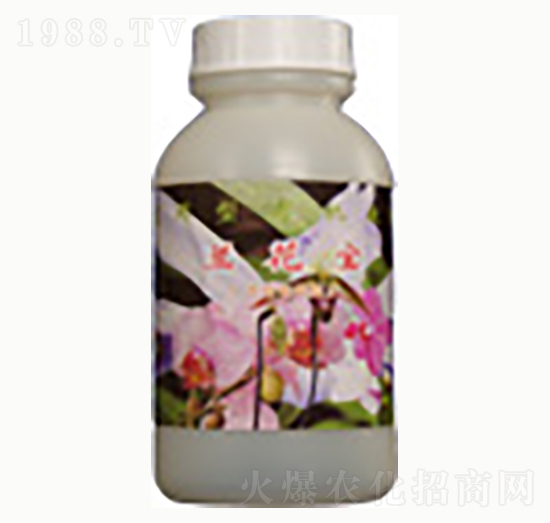 蘭花寶-賜?？? style=