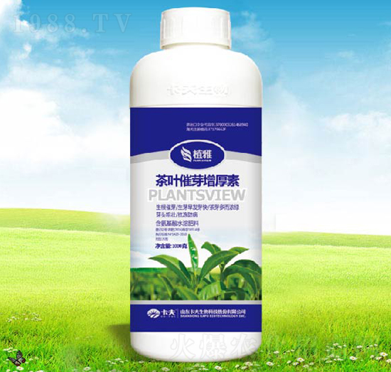 茶葉催芽催厚素-卡夫生