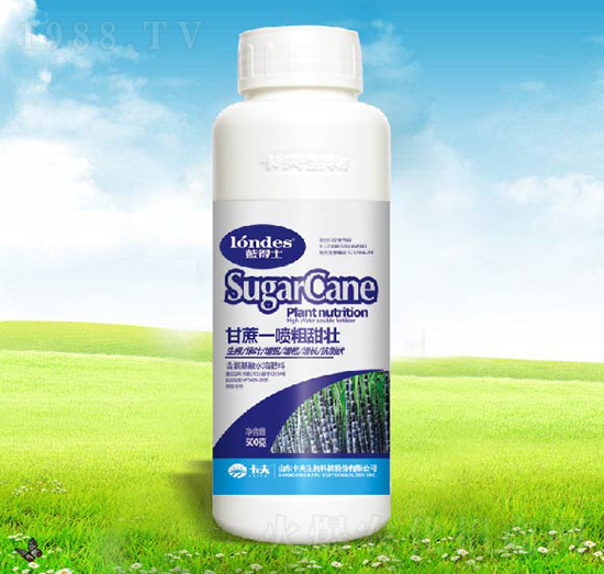 藍(lán)得士甘蔗一噴粗甜壯-卡夫生
