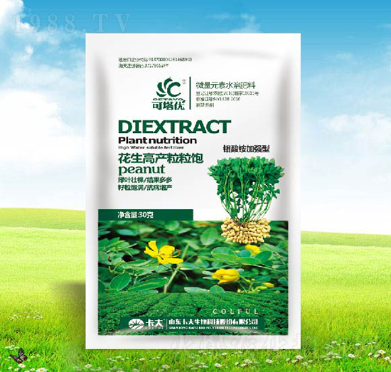 花生高產(chǎn)粒粒飽-可塔優(yōu)-卡夫生