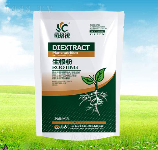 ������-������(y��u)-������