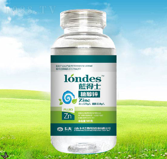 300���{��ʿ�Ǵ��\-����