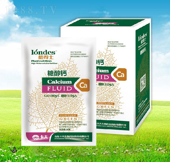 20���{��ʿ�Ǵ��}-����