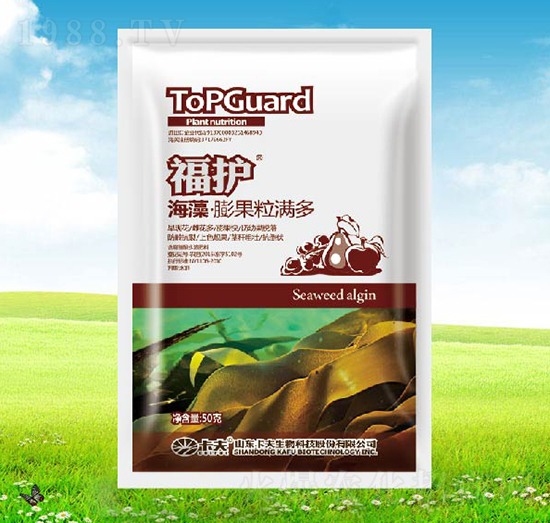 ���o����������M��-����