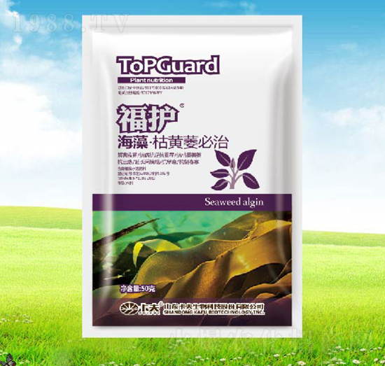 ������Sή����-���o(h��)-����