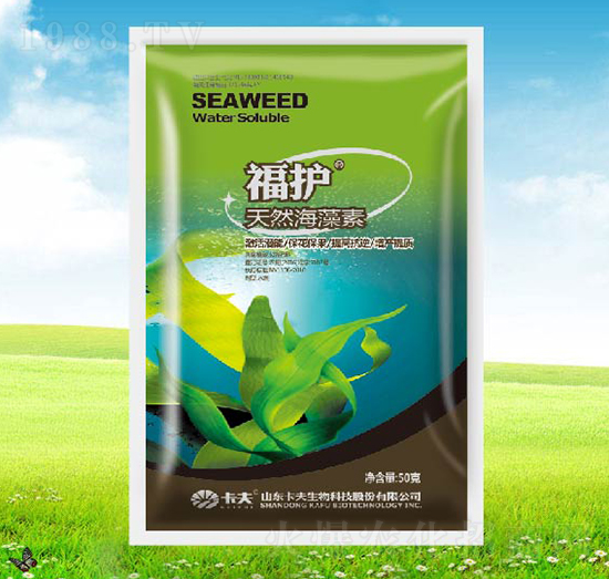 天然海藻素-福護-卡夫