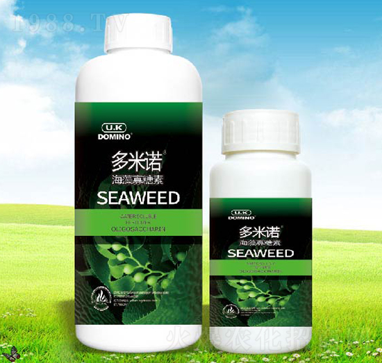 海藻寡糖素-多米諾-卡夫
