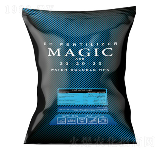 Magic-ASB-202020-沃格瑞