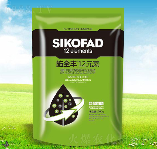 施全豐12元素-卡夫