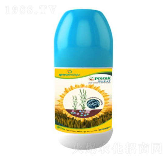 Prerak Wheat-沃格瑞