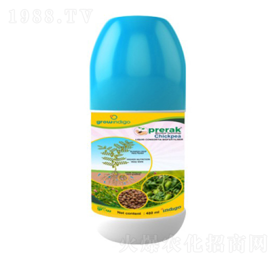 Prerak chickpea-沃格瑞